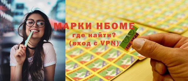индика Лабытнанги