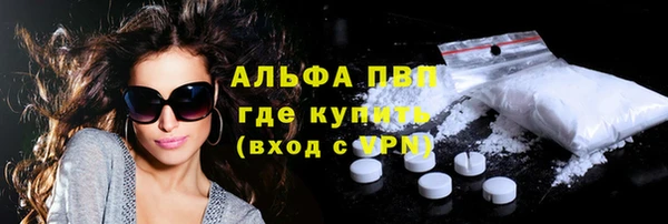 индика Лабытнанги