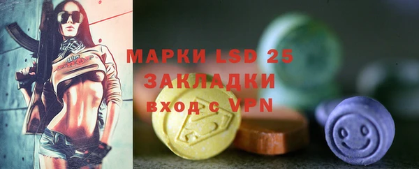 индика Лабытнанги