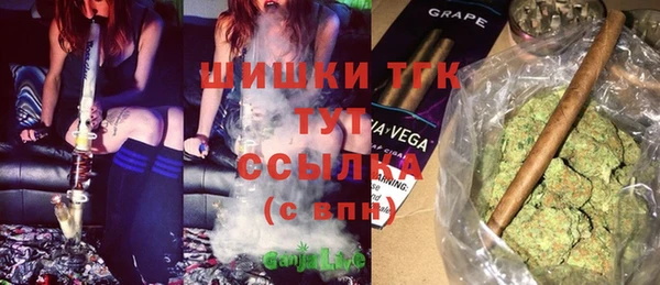 PSILOCYBIN Ладушкин