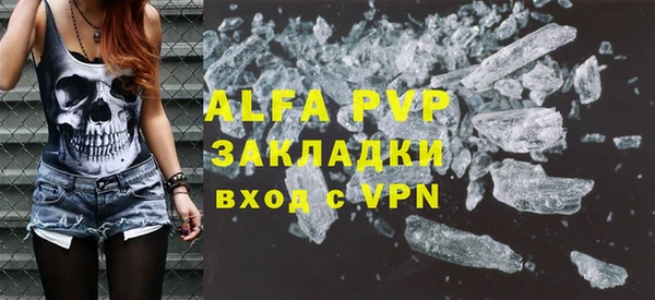 PSILOCYBIN Ладушкин