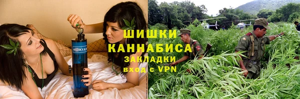 индика Лабытнанги