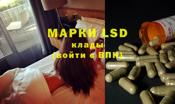 PSILOCYBIN Ладушкин