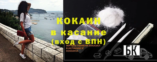 PSILOCYBIN Ладушкин