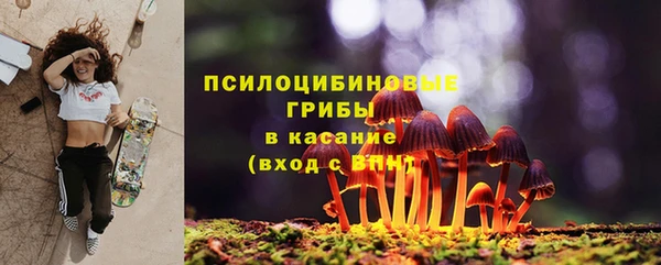 гидропоника Куйбышев