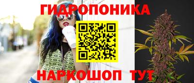 бошки Камышлов
