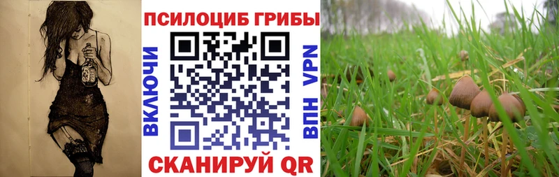 Псилоцибиновые грибы мицелий  Мелеуз 