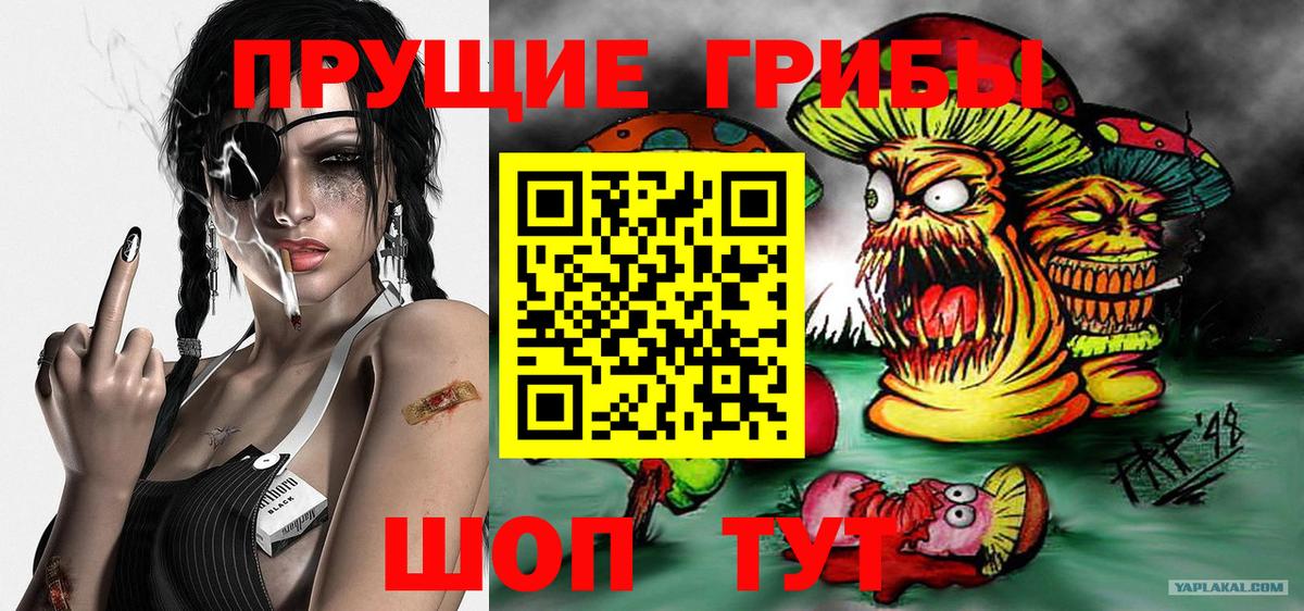 Псилоцибиновые грибы прущие грибы Мелеуз