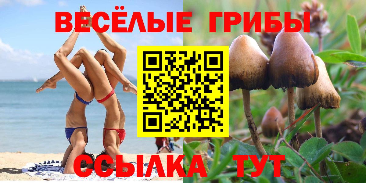 Галлюциногенные грибы мицелий Мелеуз
