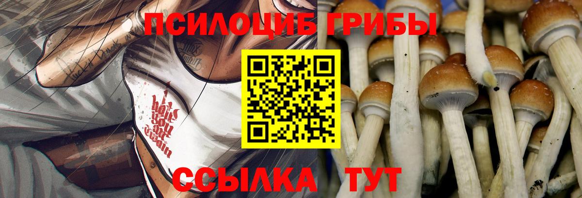 Псилоцибиновые грибы GOLDEN TEACHER  Вход с VPN  как найти закладки  Мелеуз 